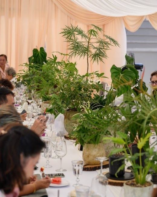 จัดสวน & ไม้ประดับ — ผลงานของ Club Love Wedding