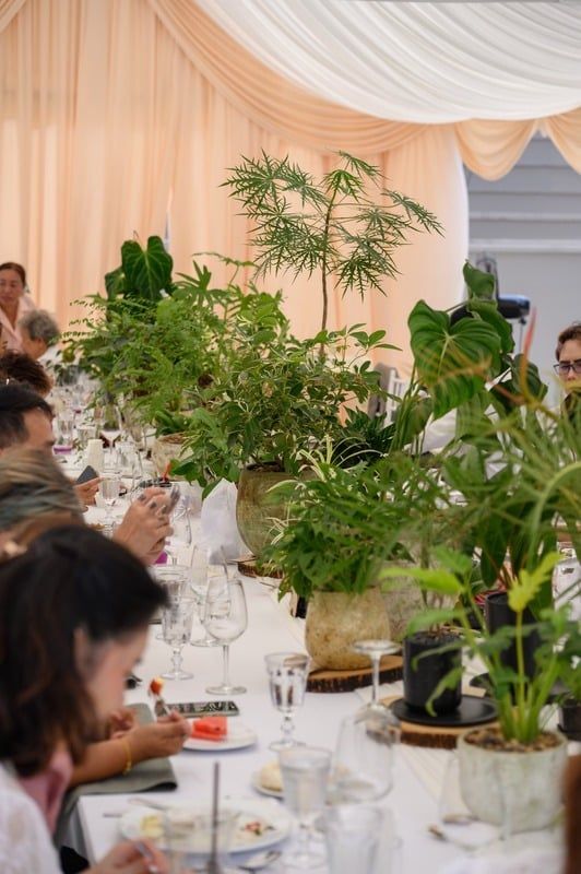 จัดสวน & ไม้ประดับ — ผลงานของ Club Love Wedding